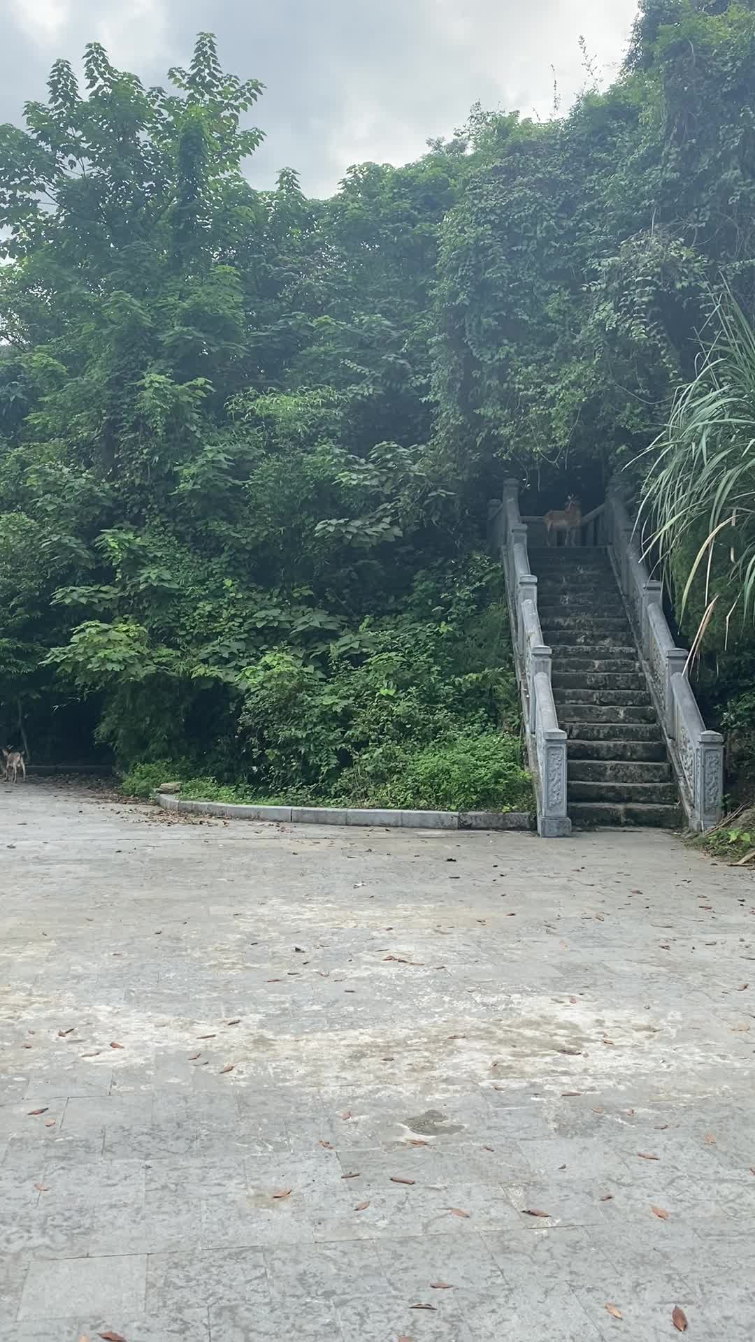 Chu Van An temple