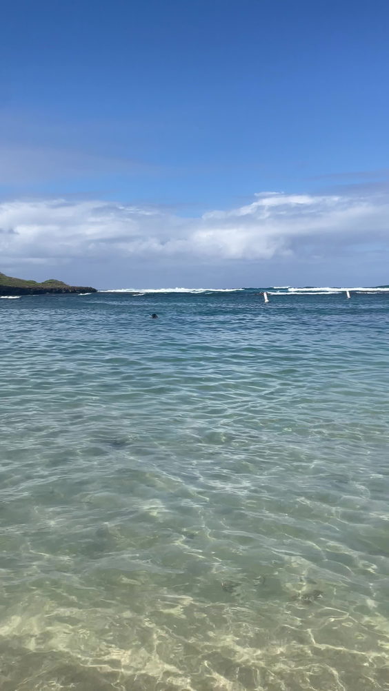 Turtle Bay Beach