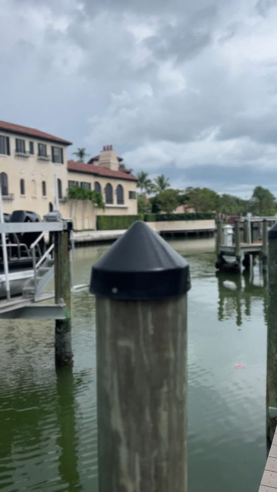 Venice Florida Tours
