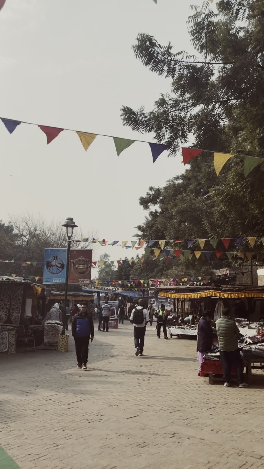 Delhi Haat Cottage Industries