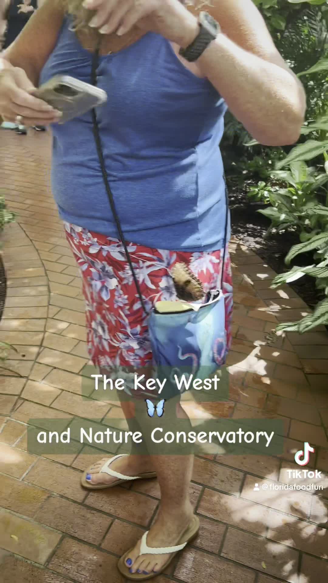 Key West Butterfly & Nature Conservatory