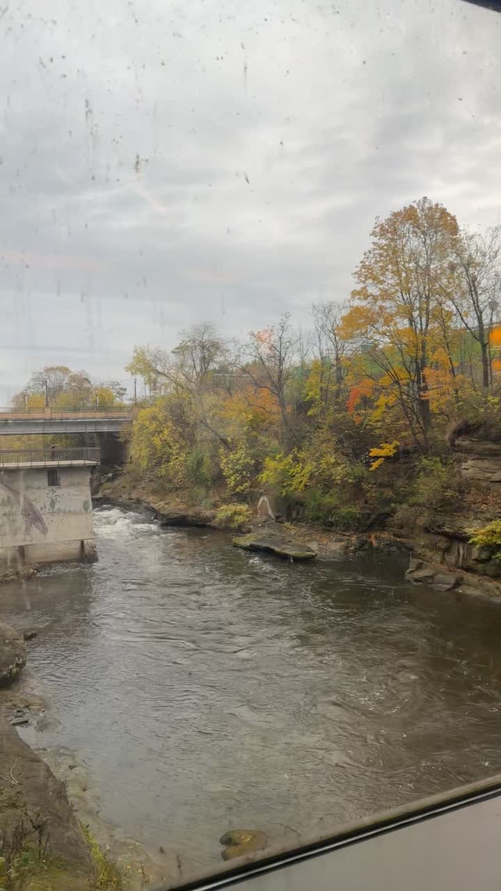 Video review of Beau's on the River