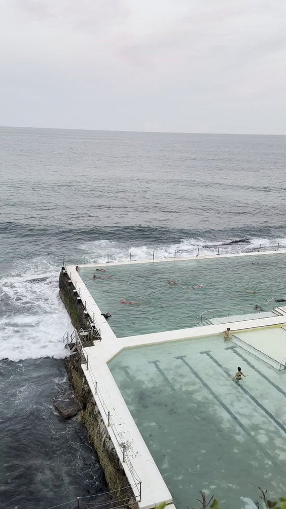 Bondi Icebergs
