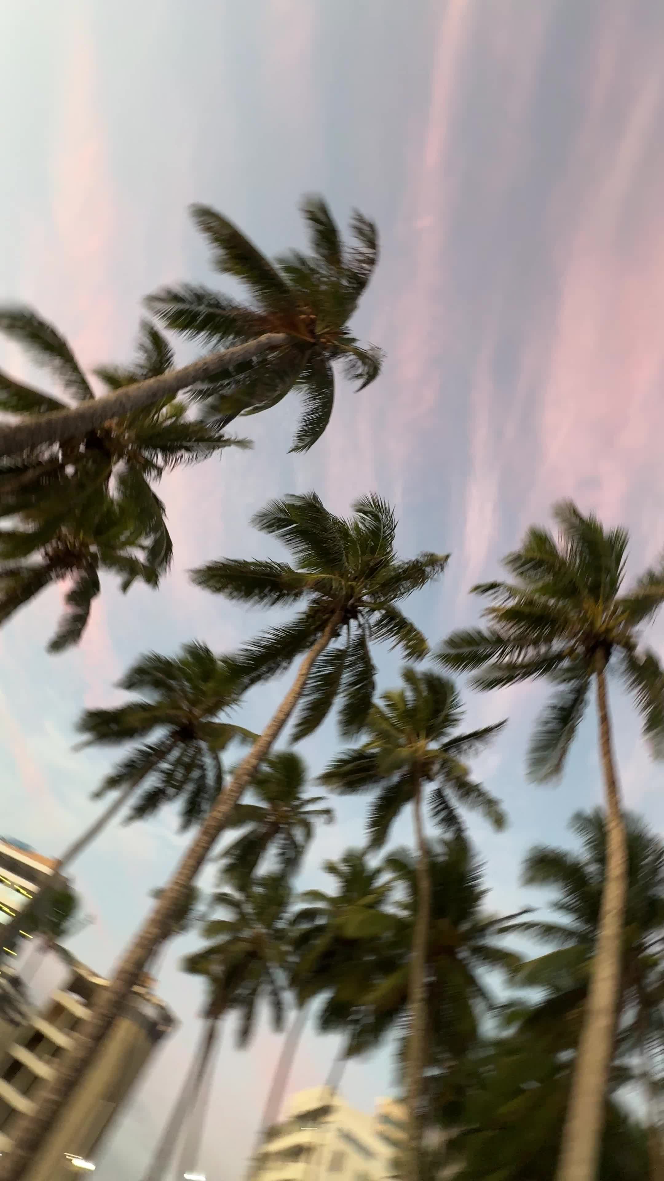 Amiga Linda - Beleza E Estética