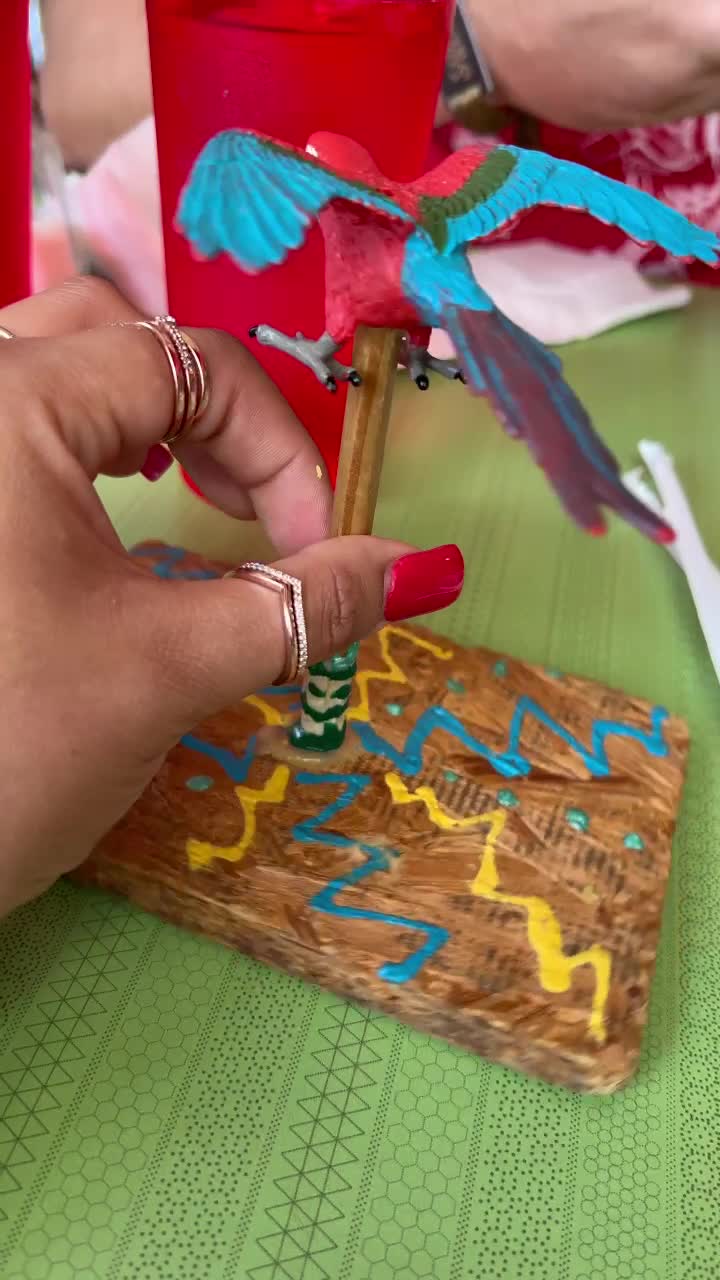 Video review of Turkey and the Wolf