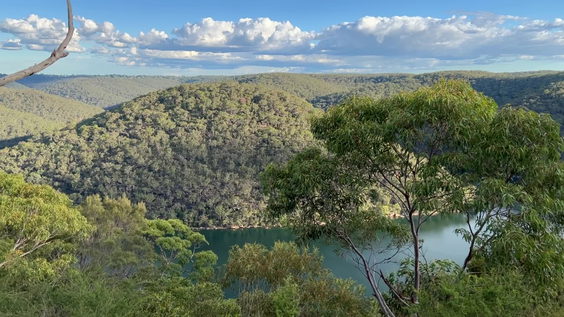 Ku-Ring-Gai Chase National Park
