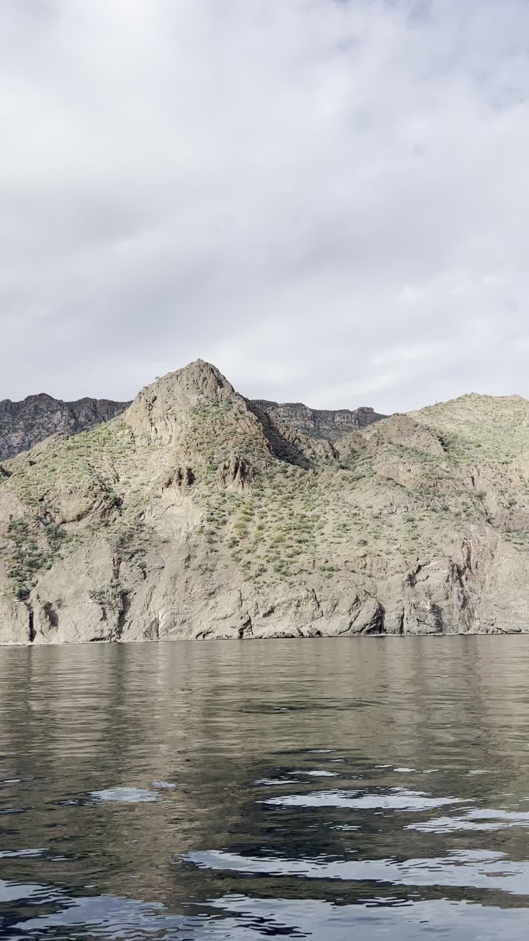 Loreto Sea and Land Tours