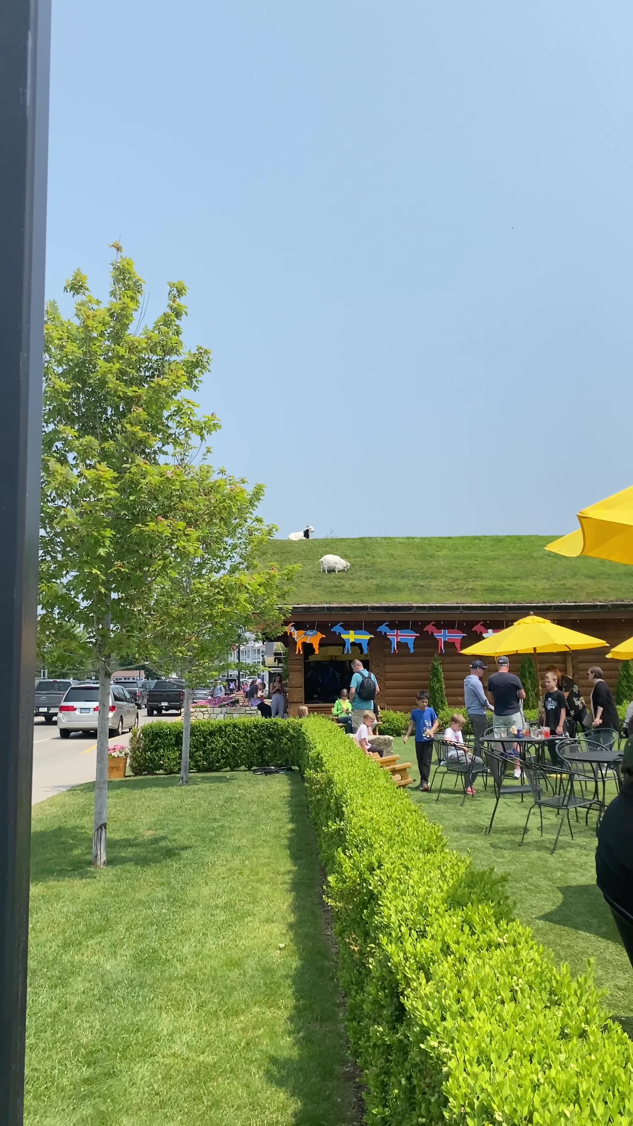 Al Johnson's Swedish Restaurant & Butik