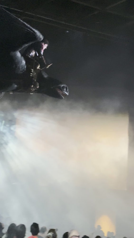 The Untrainable Dragon