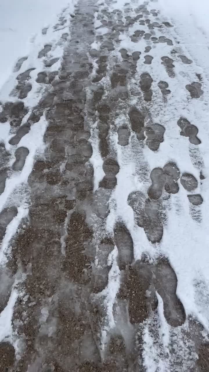 Iowa State University College of Human Sciences Study Abroad