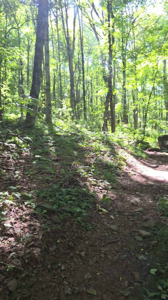 Bramley Mountain Trail