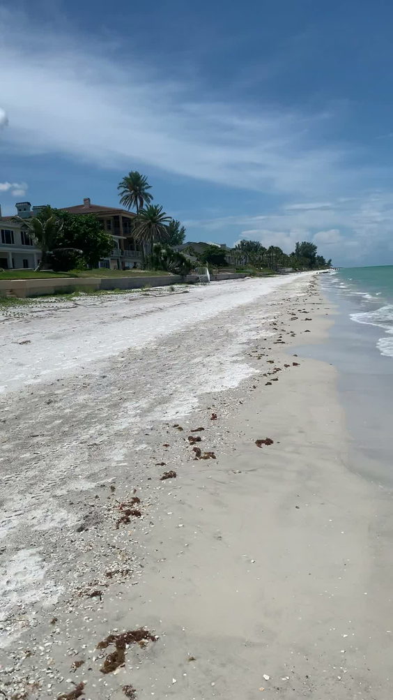 Belleair Shore