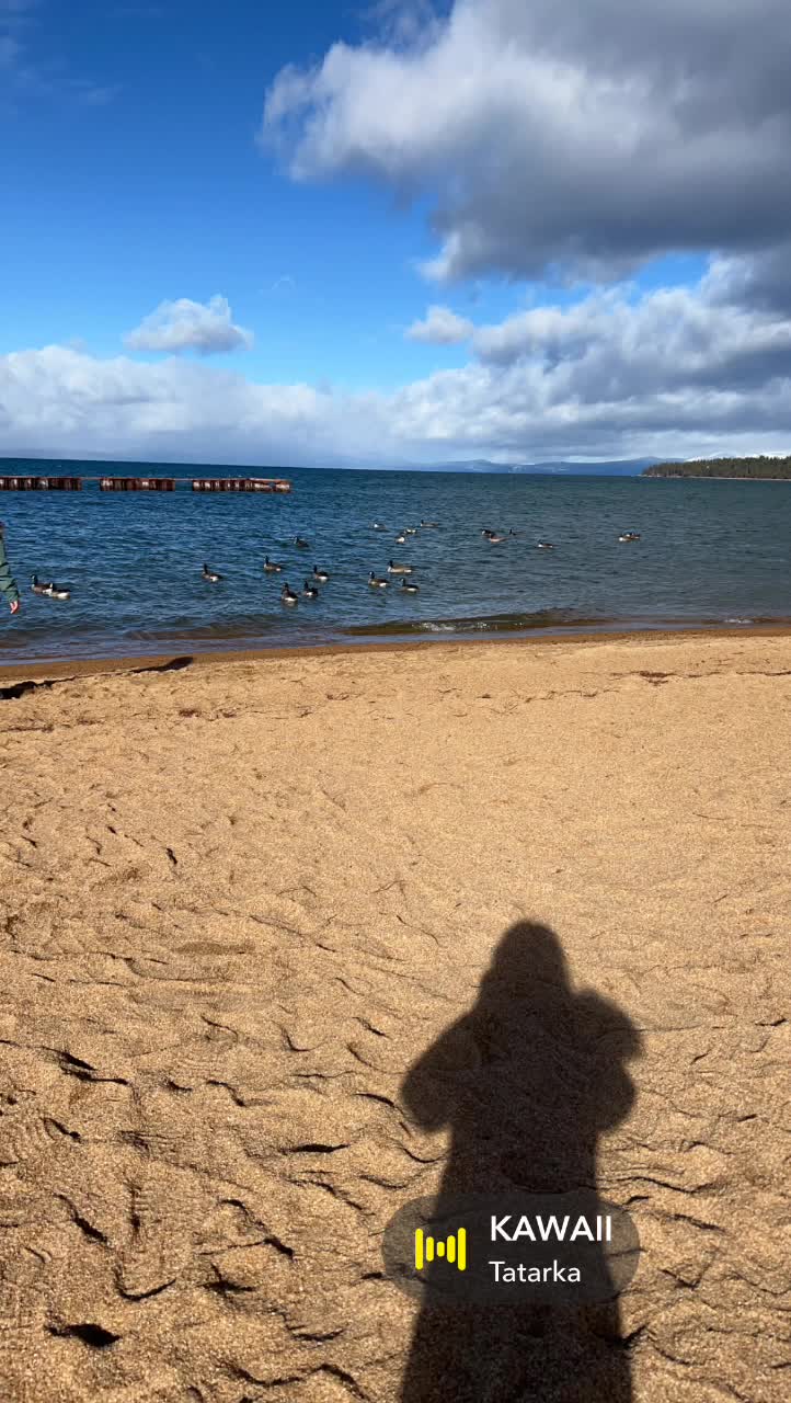 Video review of Beach House Tahoe