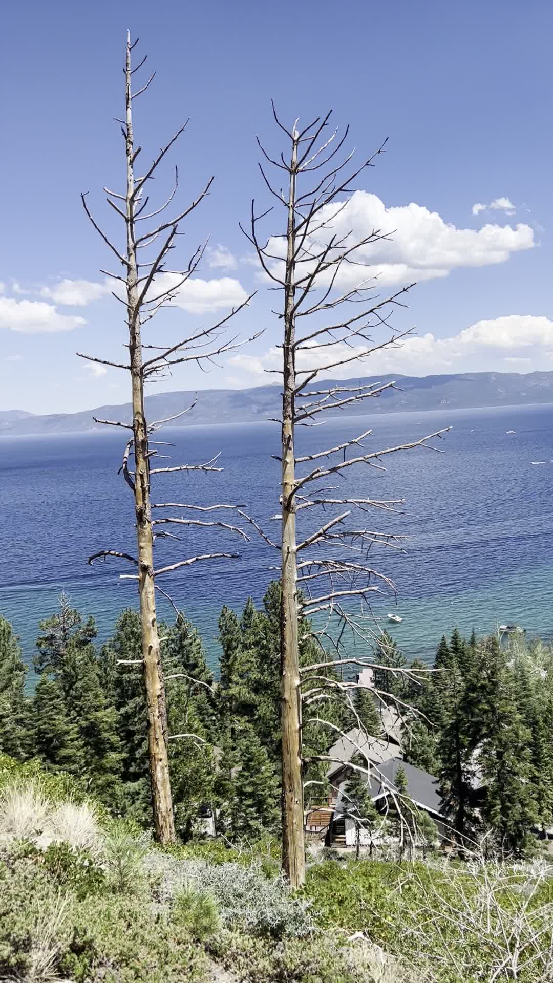 Lakeview Social Tahoe