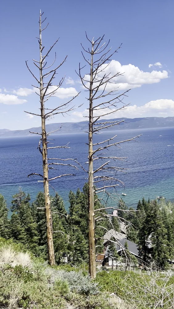 Lakeview Social Tahoe