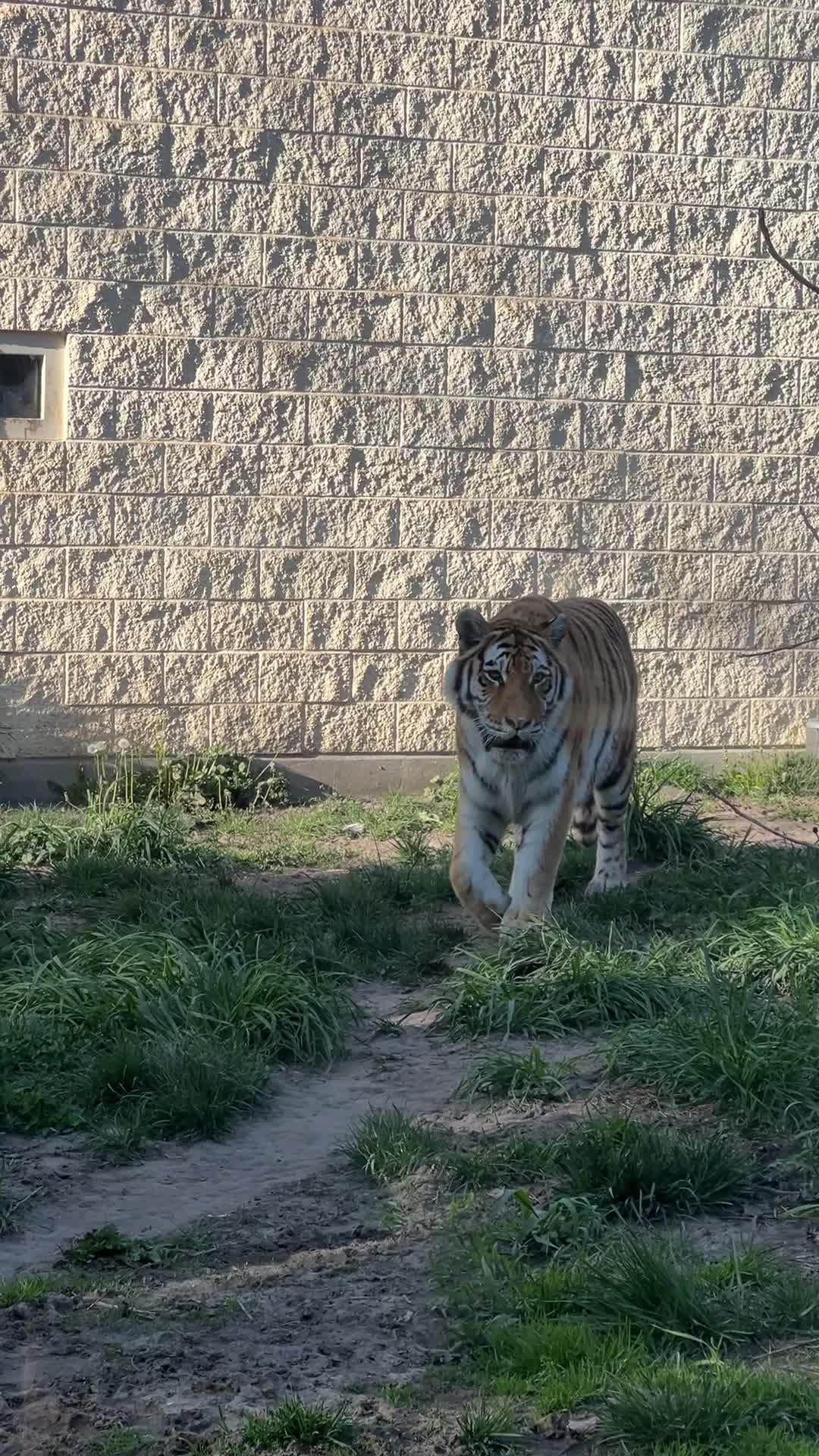 Zoo Boise