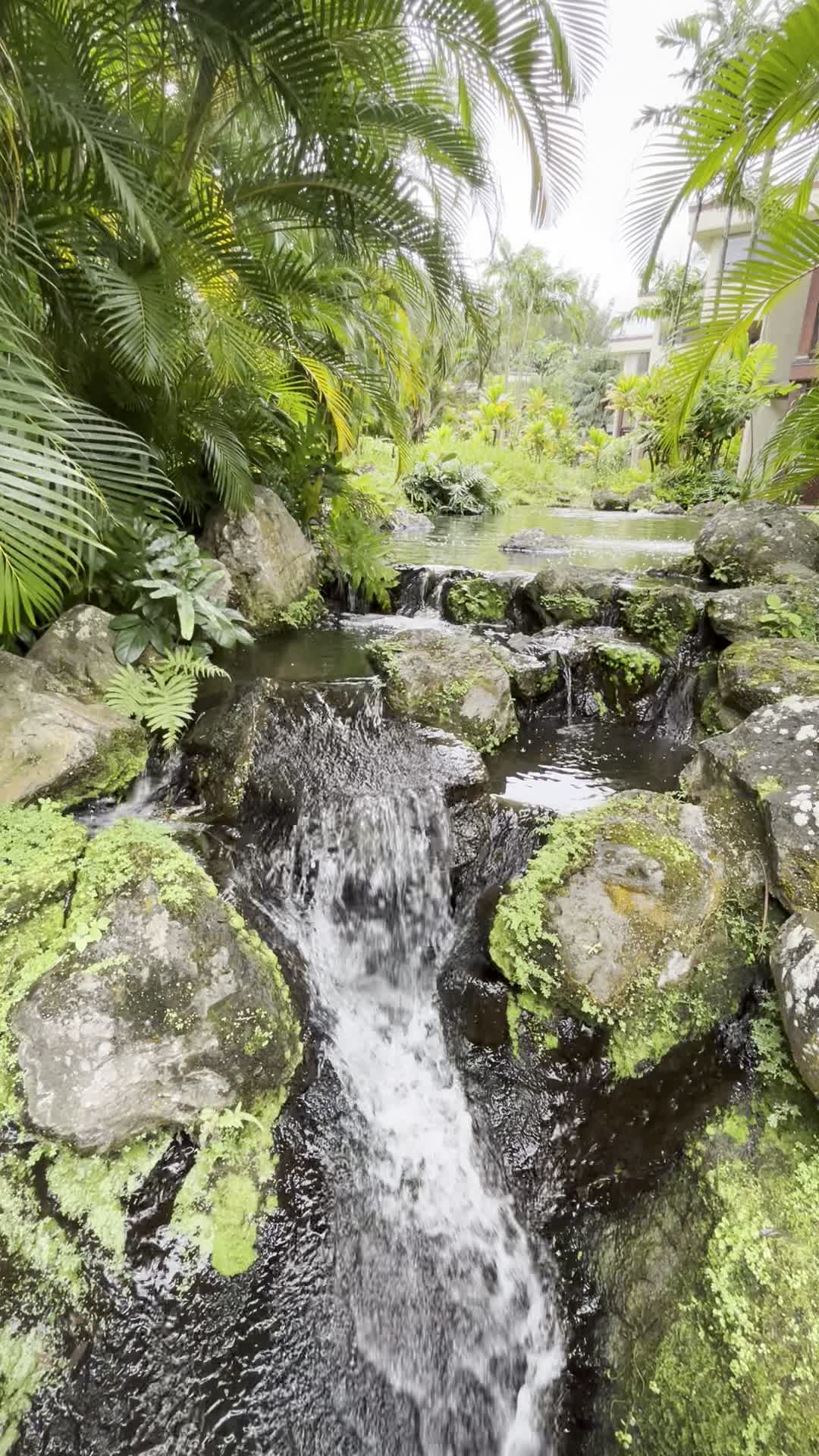 Video review of Kaneohe Bay Shopping Center