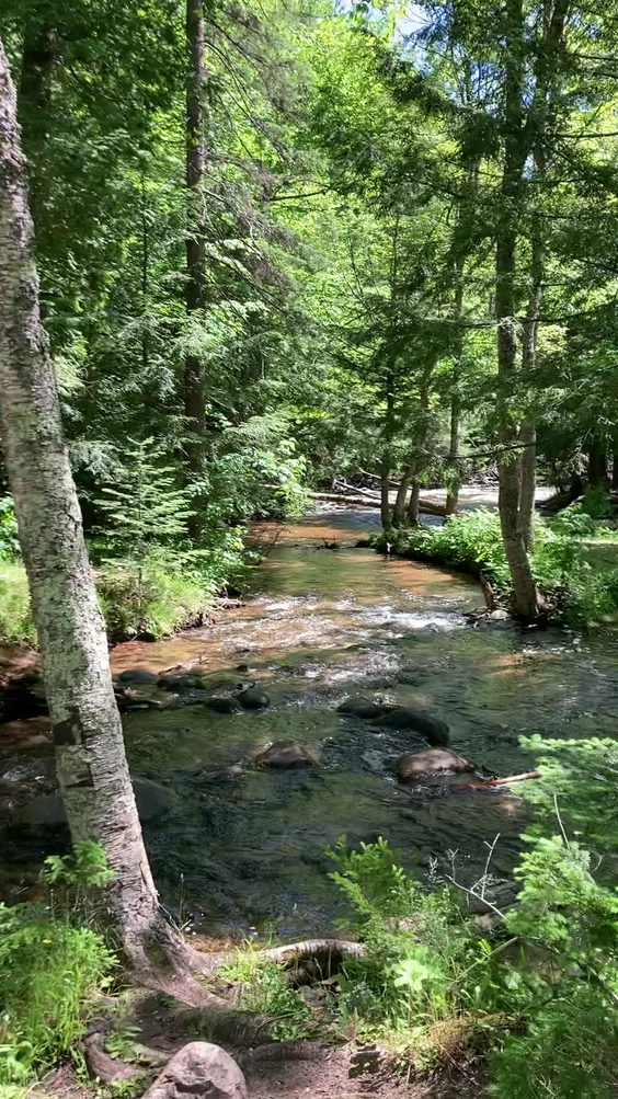 Morgan Creek Falls