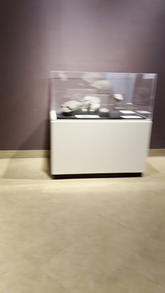 New Mexico Museum of Natural History & Science