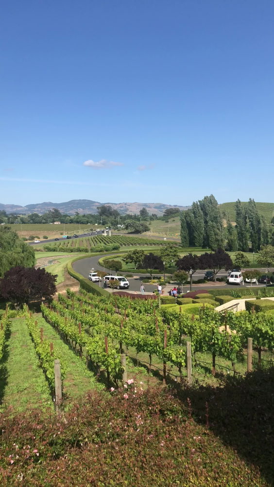 Domaine Carneros