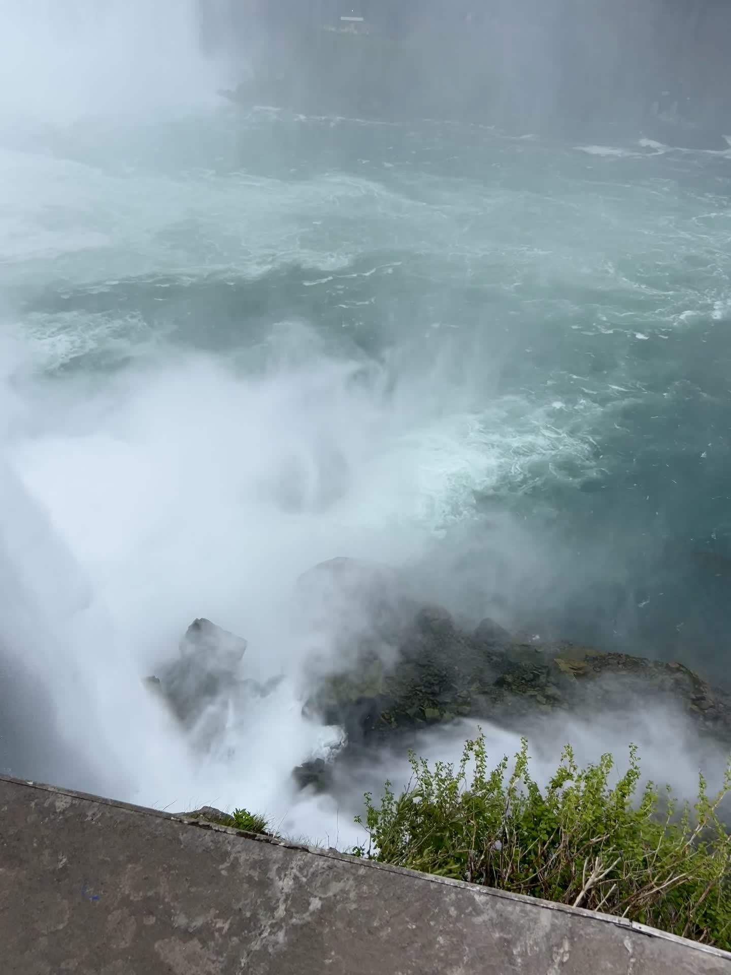 Terrapin Point
