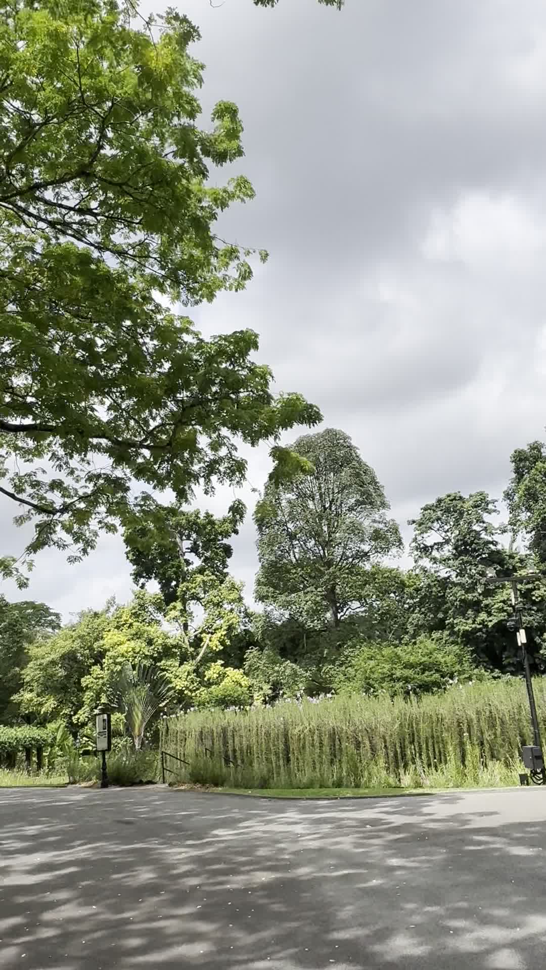 Singapore Botanic Garden