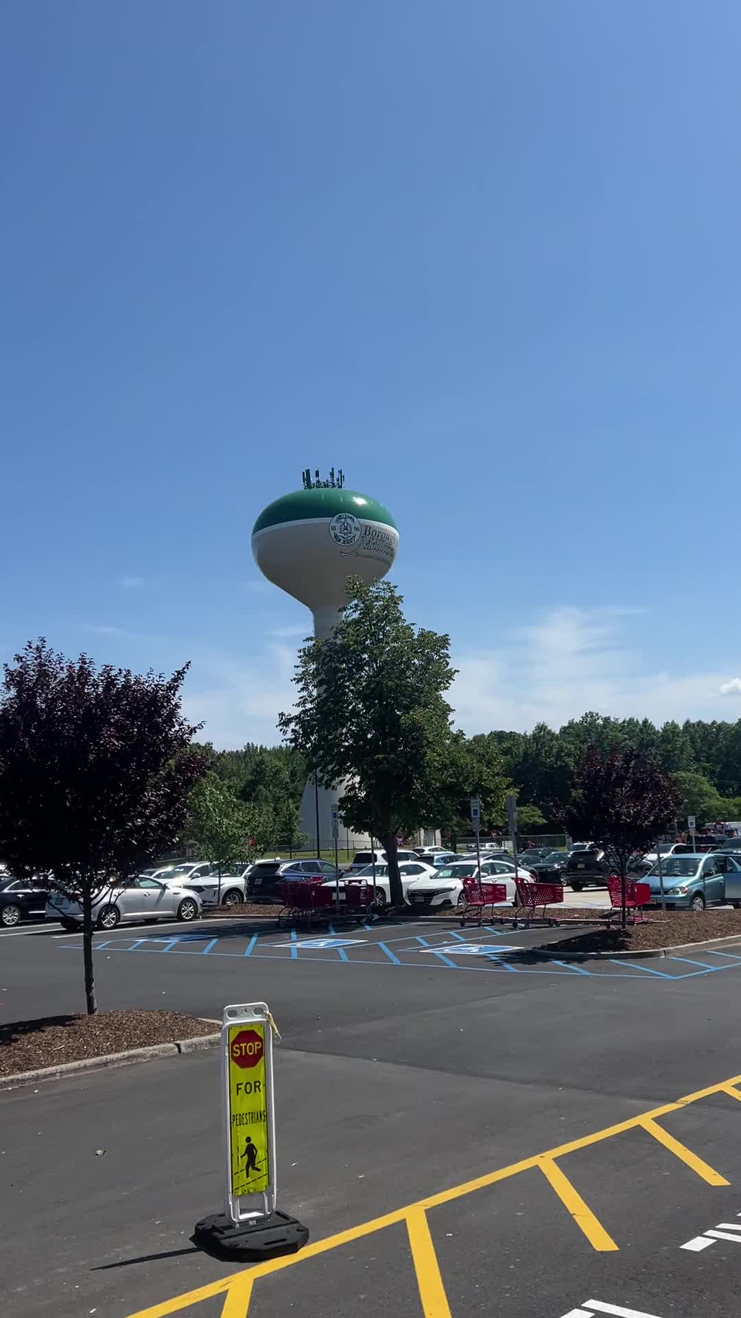 Video review of Target