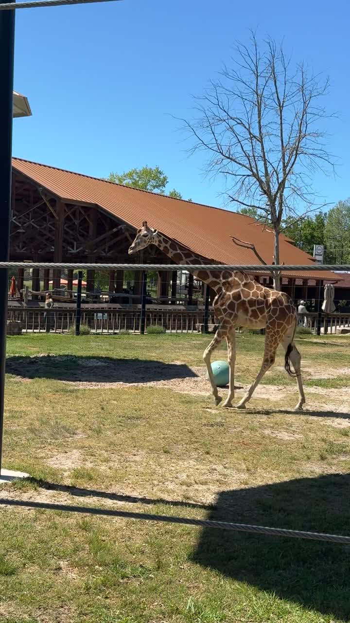 Hattiesburg zoo