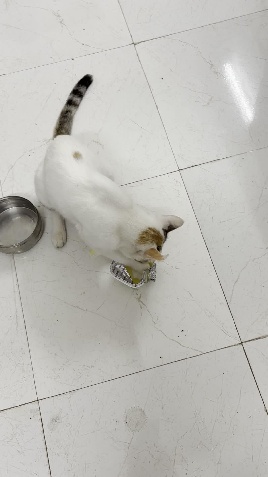 ITC My Fortune Hotel