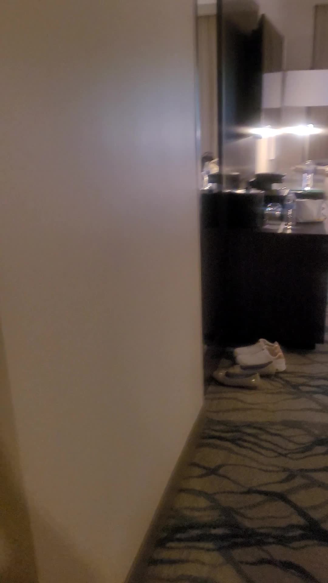 Westfiled Marriott Washington Dulles