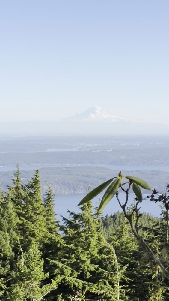 Mt. Walker Viewpoint 