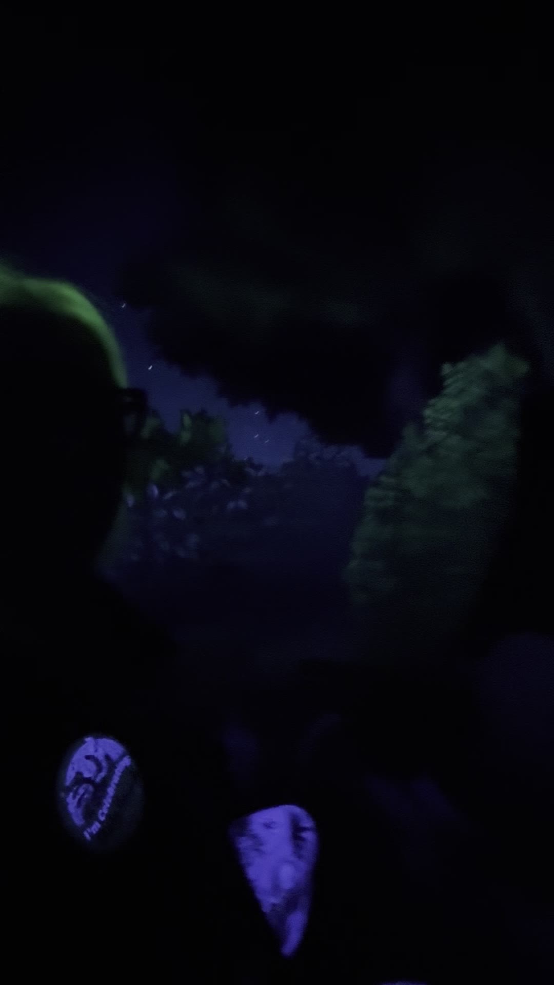 The Many Adventures of Winnie the Pooh