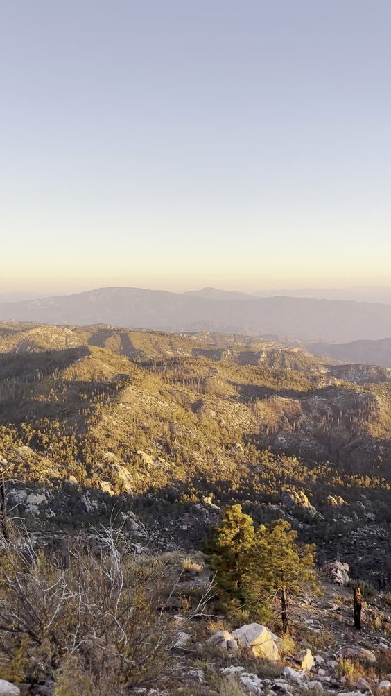 Mt. Lemmon Cookie Cabin