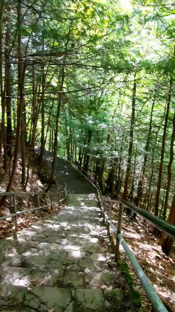 Pratts Falls Park