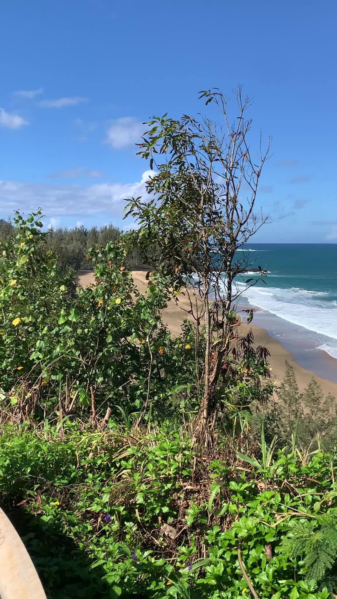 Kalihiwai Beach