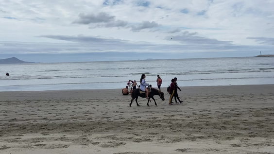 Playa Hermosa Bed & Breakfat