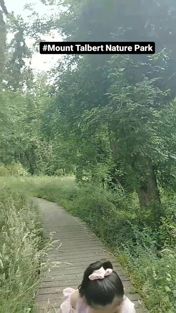 Mount Talbert Nature Park