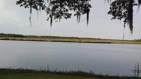 Middleton Place