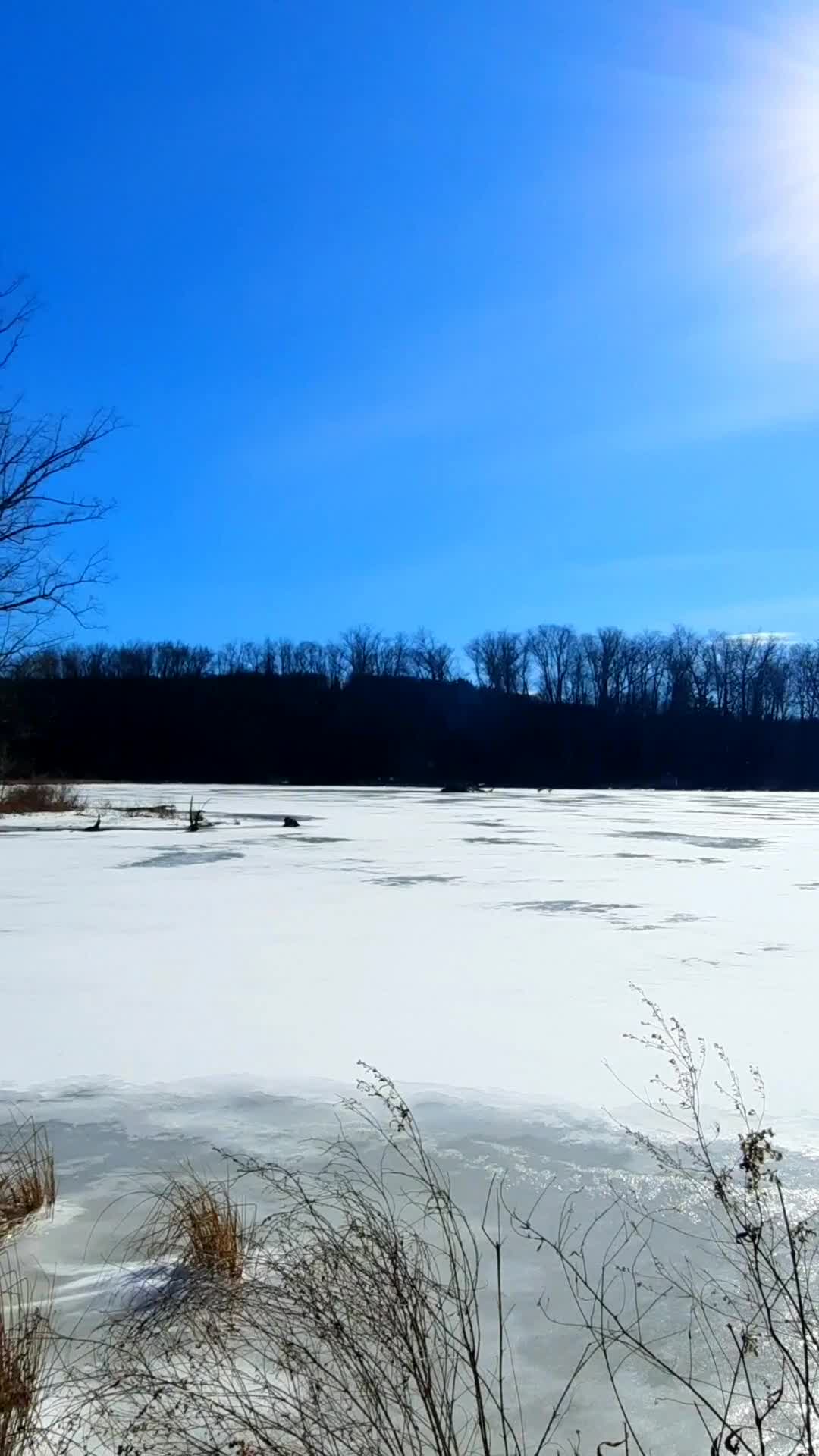 Brick Pond