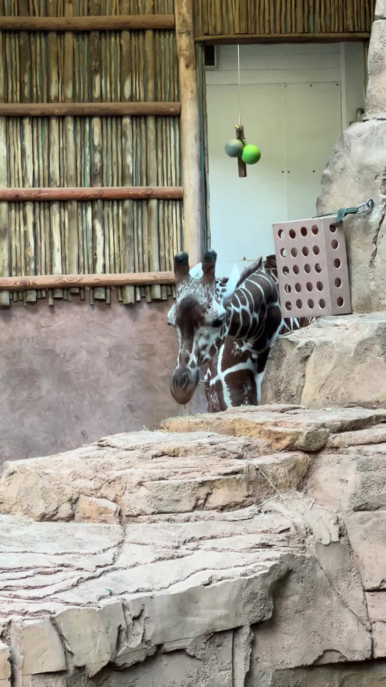 Lincoln Park Zoo