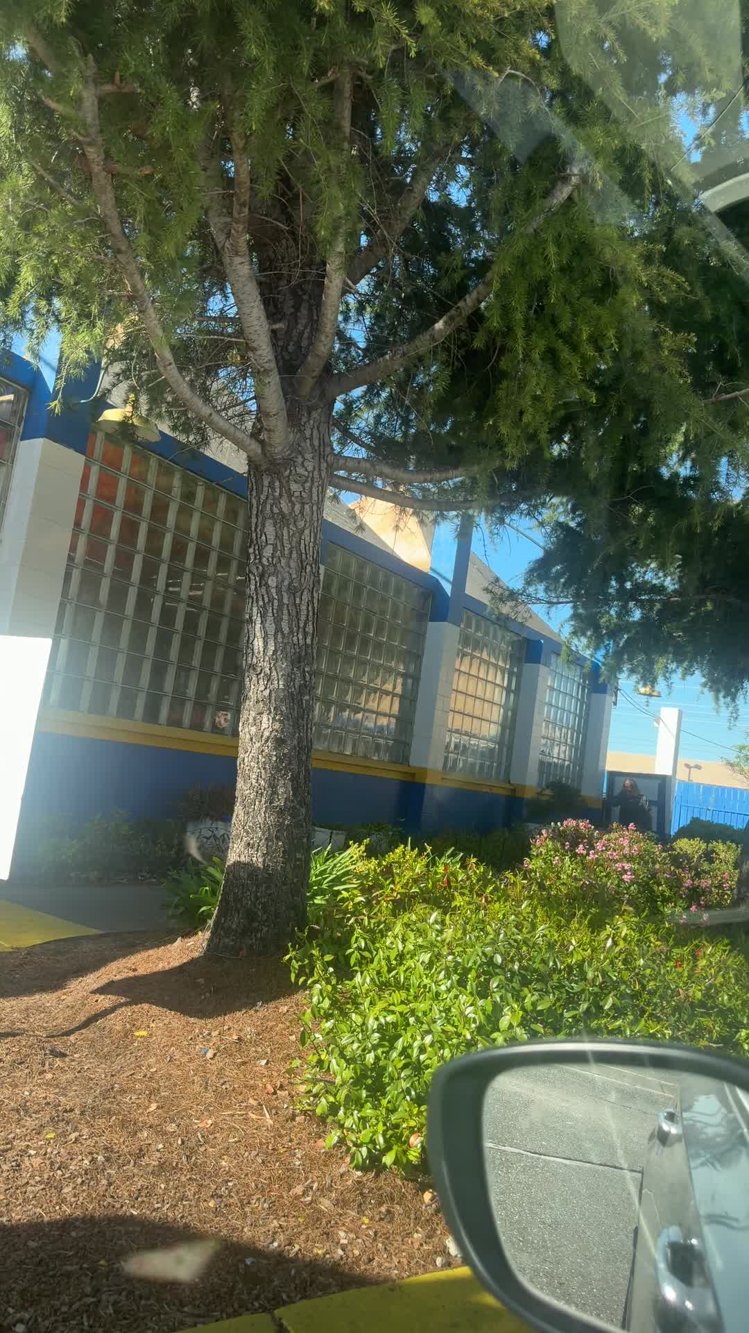 Ducky's Car Wash - San Mateo