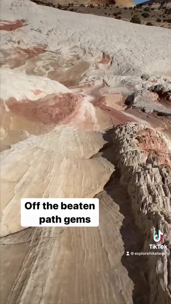 Belly Of The Dragon