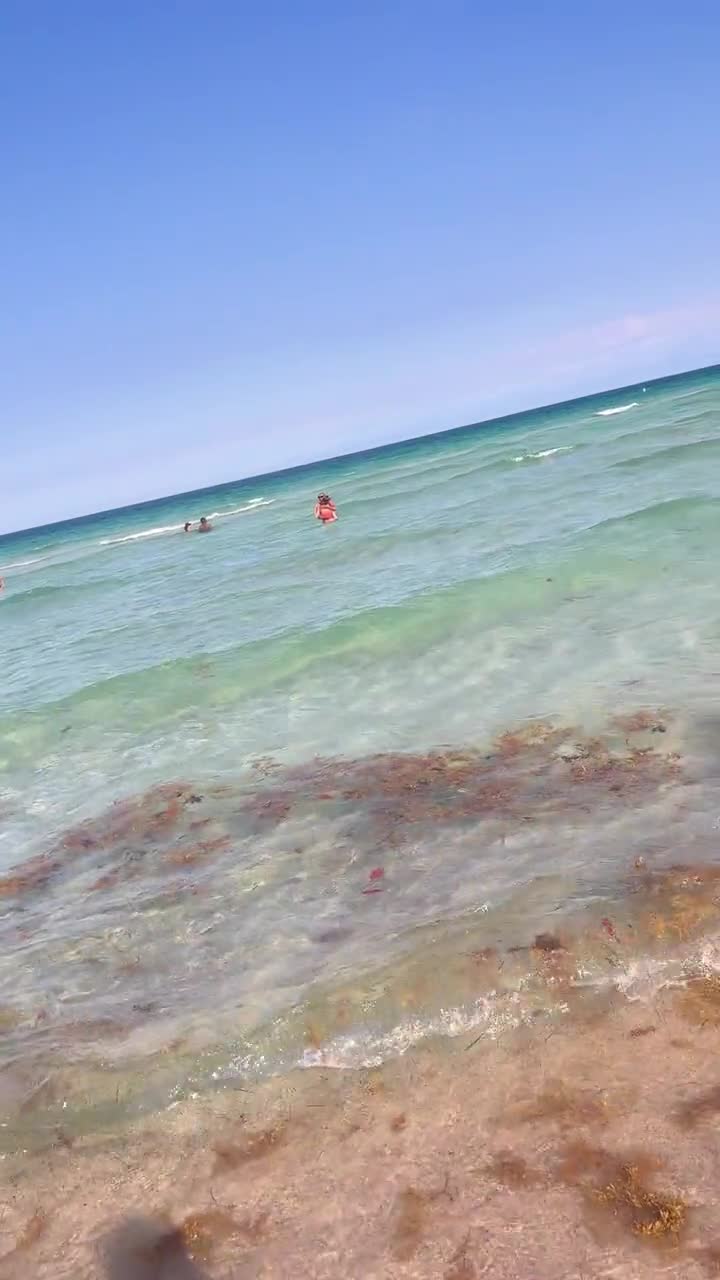 Video review of Mango's Tropical Cafe South Beach