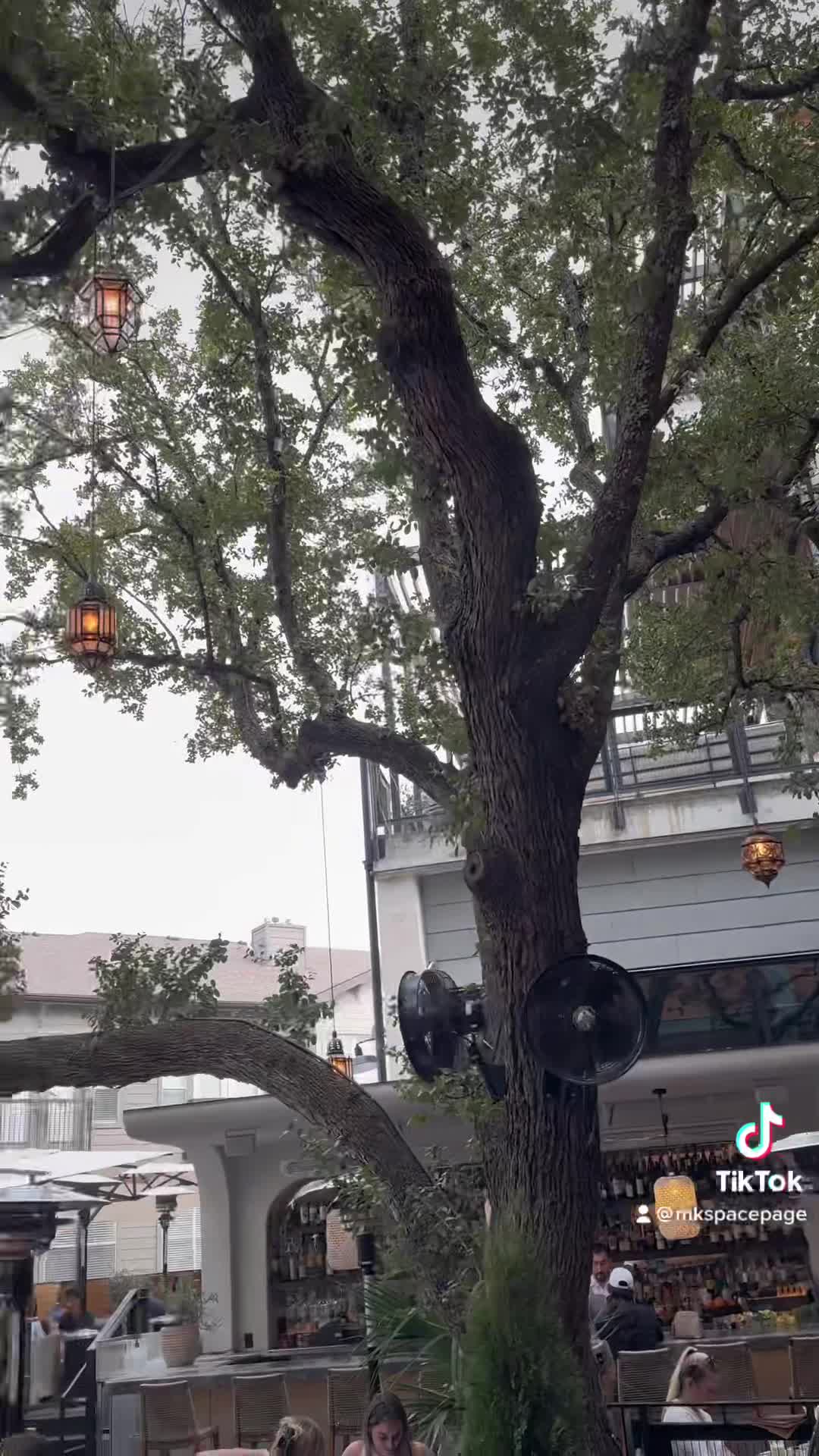 Video review of Uchi Austin