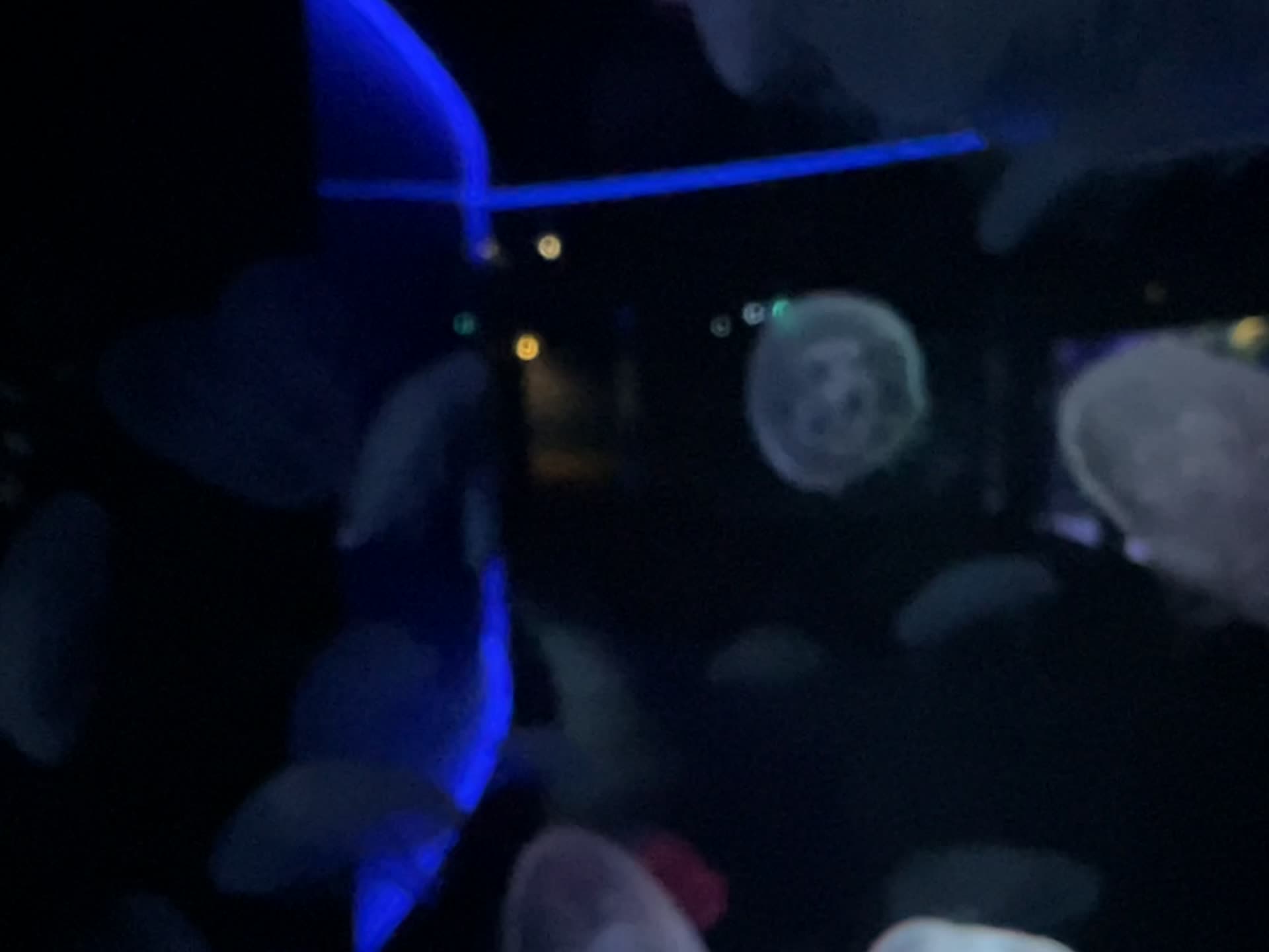 Kyoto Aquarium (京都水族館)