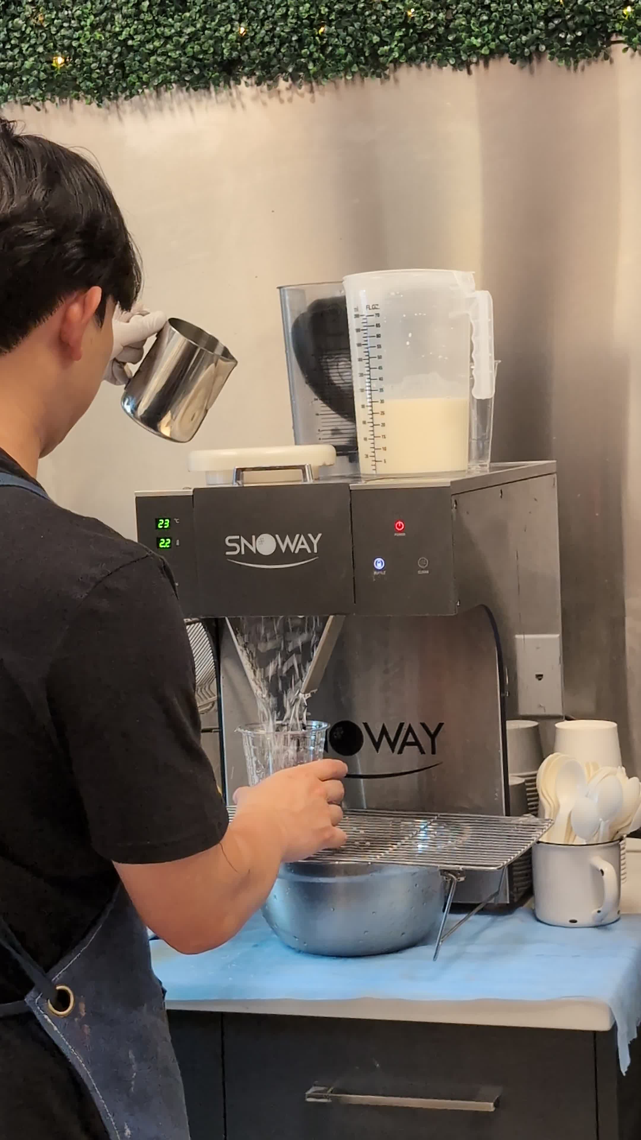 Video review of Snowy Village