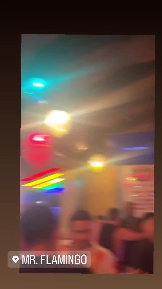 Mr. Flamingo