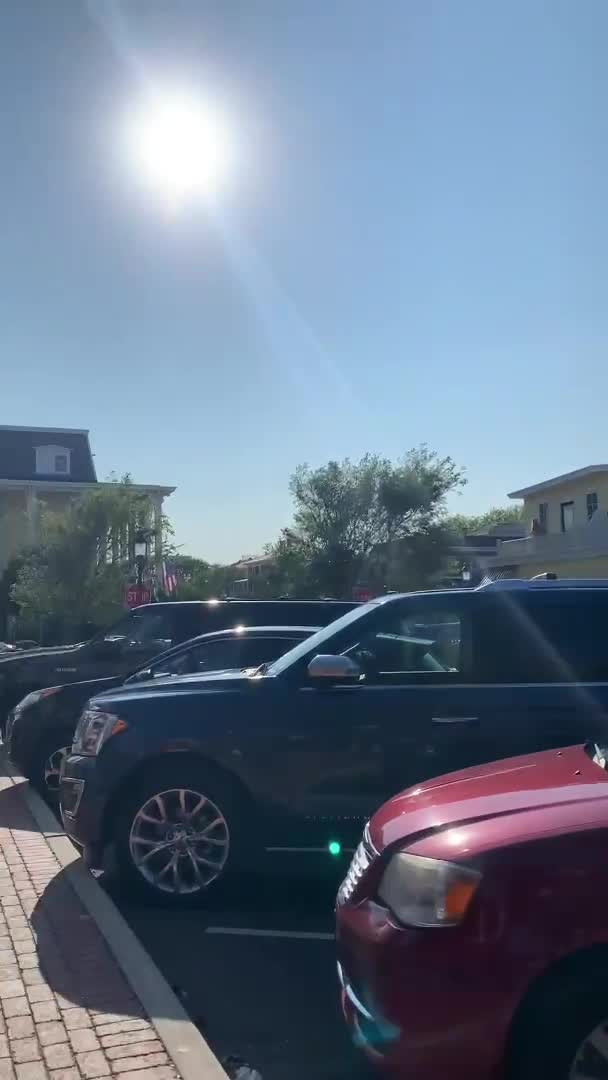 Video review of Peace Pie