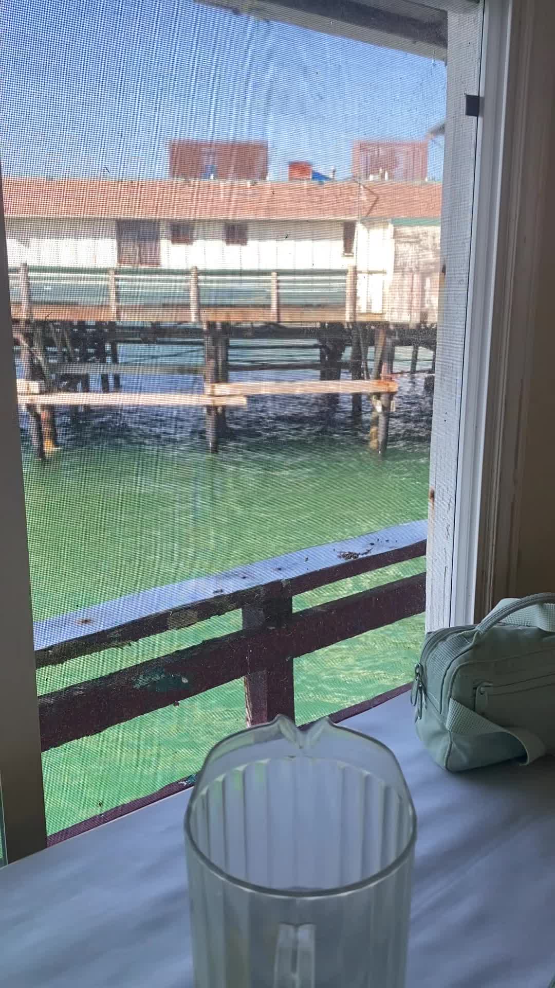 Video review of Pacific Fish Center & Restaurant