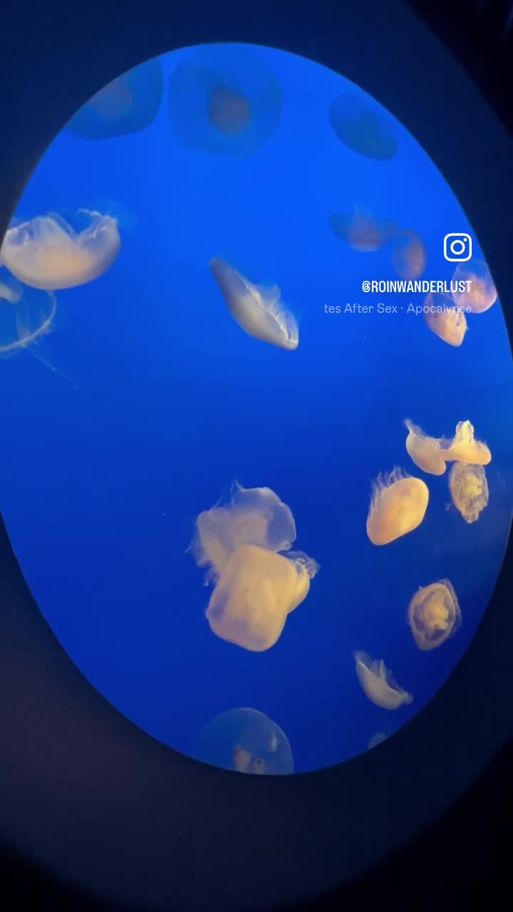 Monterey Bay Aquarium